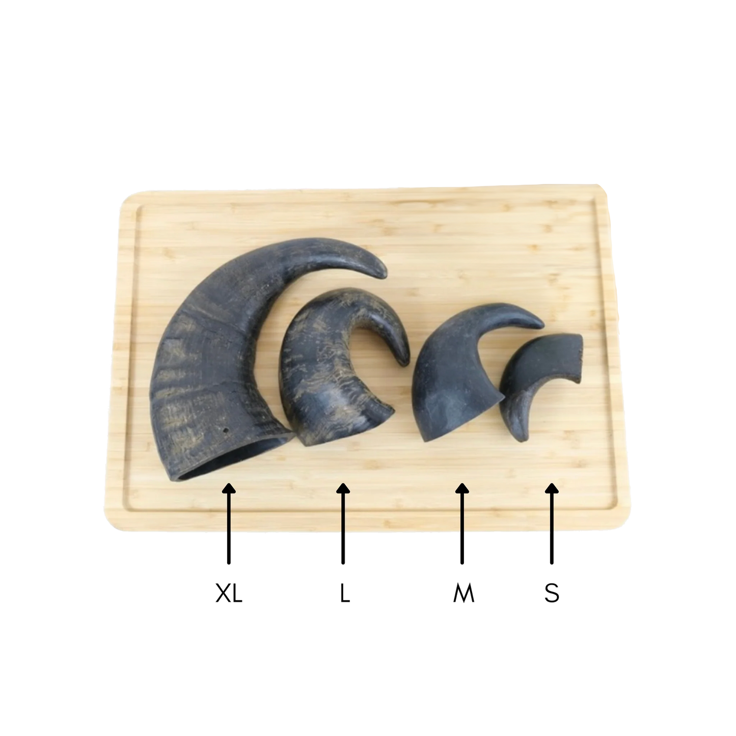 Buffalo Horns