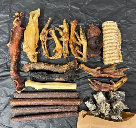 Treat Box for Older Dogs