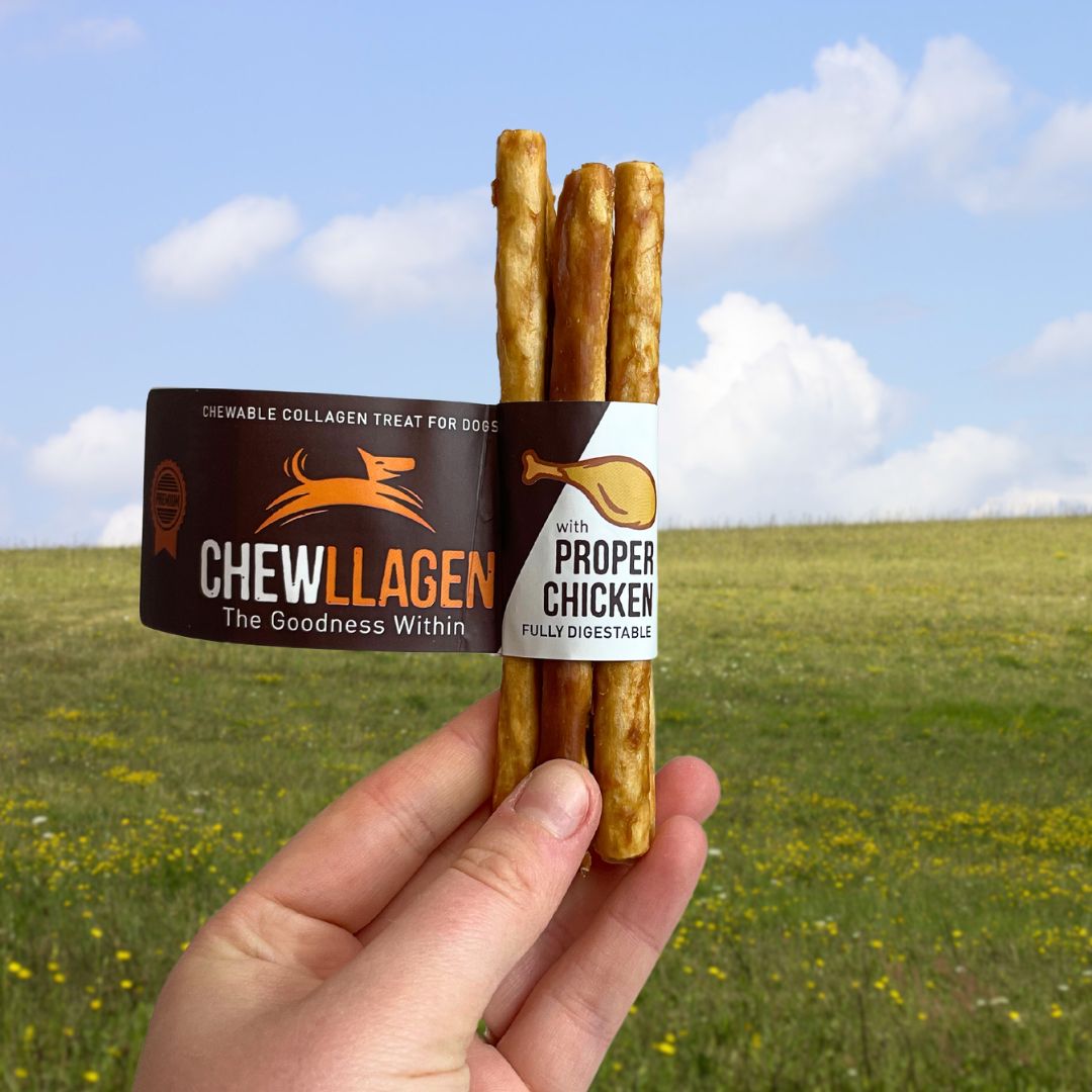Chewllagen Chicken Mini Roll 5pk
