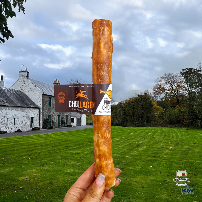 Chewllagen Chicken Roll - 10"