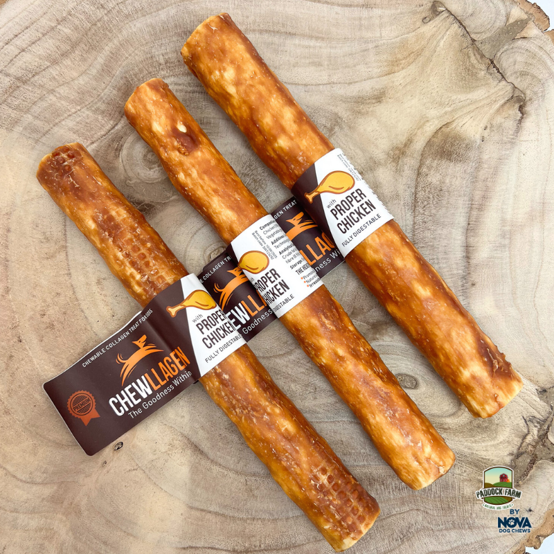 Chewllagen Chicken Roll - 10"