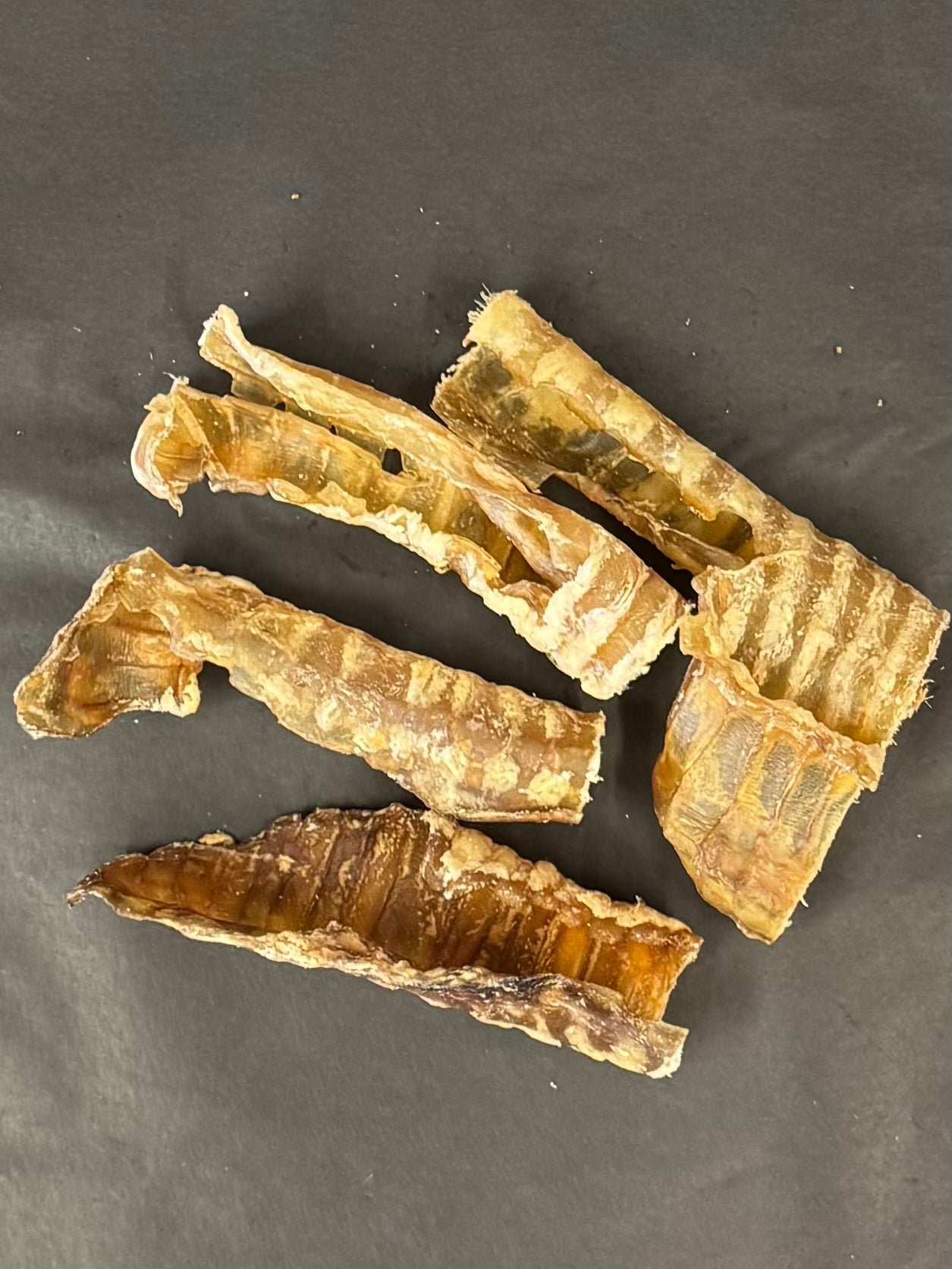 Broken Trachea - Cut