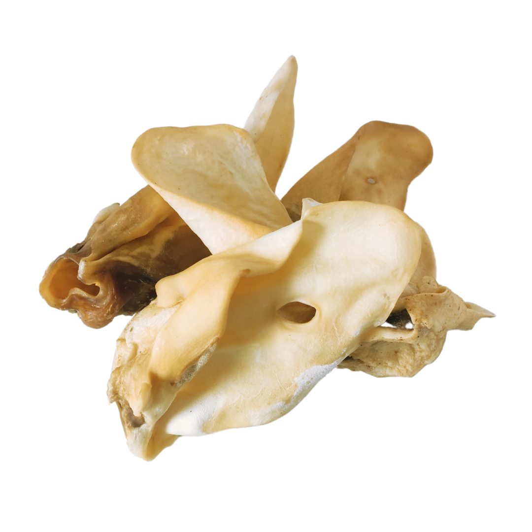 Medium Cow Ears with no hair/fur