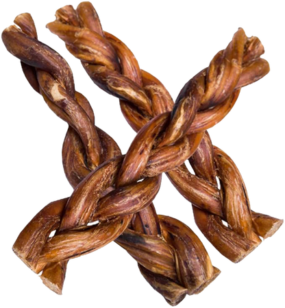 Braided Pizzle (~15cm)