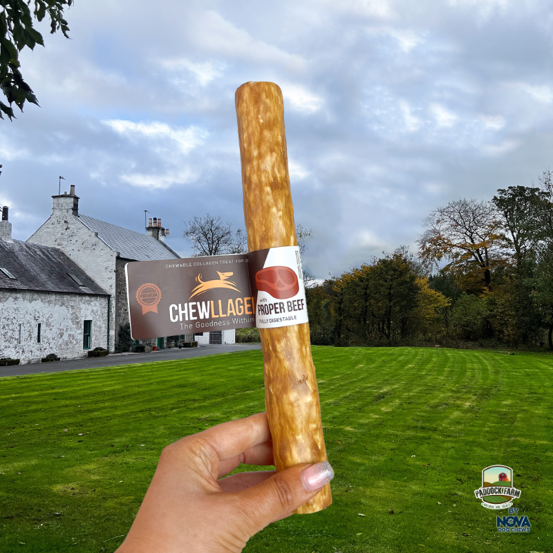 Chewllagen Beef Roll - 10"
